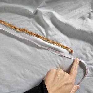 13" Baltic Amber from Ringing Rocks Mint